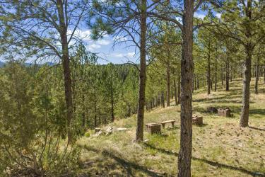  - Image# 26