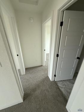 - Image# 8