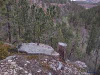  - Image# 5
