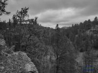  - Image# 8
