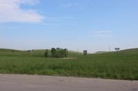  - Image# 9