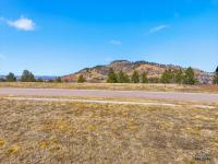  - Image# 12