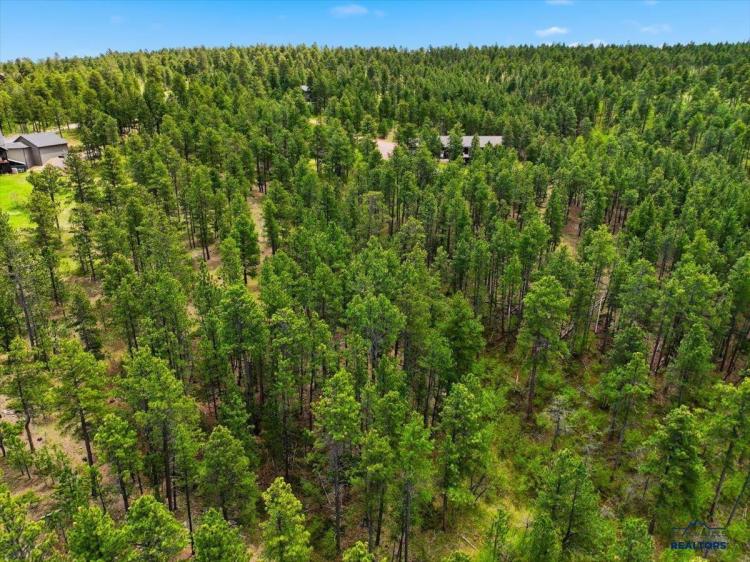  - Image# 3