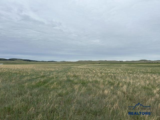  - Image# 3