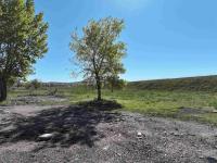  - Image# 21